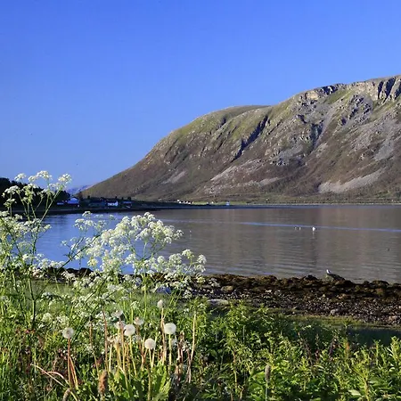 Havfiske منتجع Hansnes