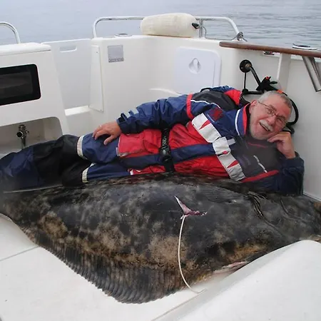 Havfiske 3*