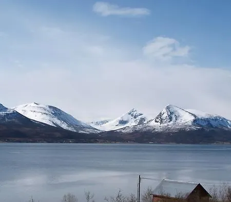 Havfiske
