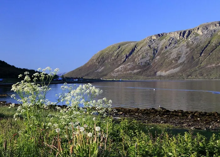 Havfiske Semesteranläggning (resort) Hansnes