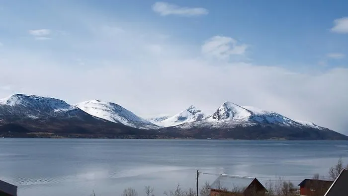 Havfiske