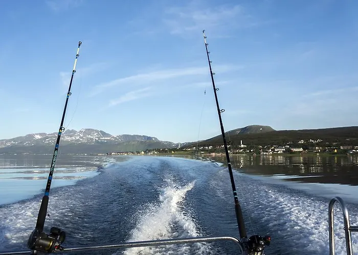 Semesteranläggning (resort) Havfiske Hansnes