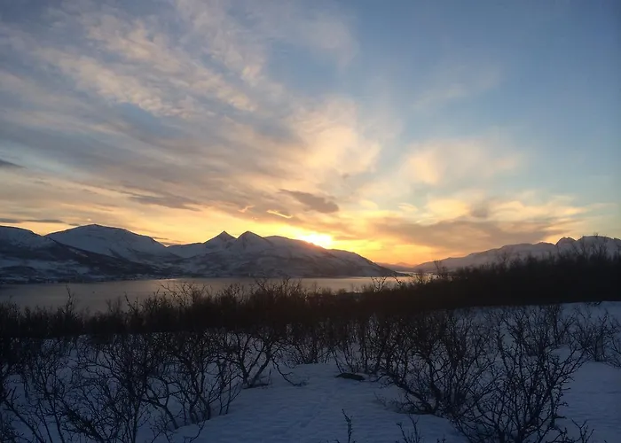 Semesteranläggning (resort) Havfiske Hansnes